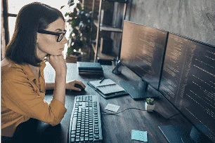 Software Developers