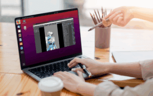 3ds Max on Linux