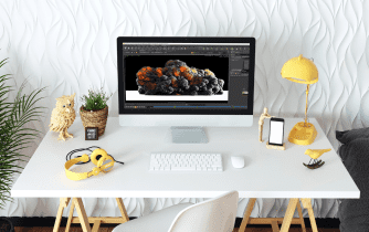 houdini software