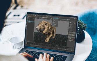 maya software